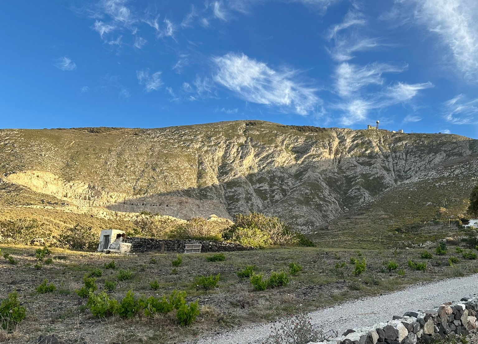 Young vines in first leaf on dark volcanic soil beside a dry-stone wall and a gravel lane in Mesa Gonia, Santorini, with Profitis Ilias behind
